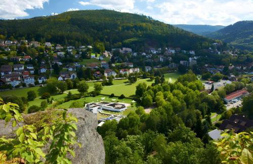 Rollstuhlgerecht auf d Kullenmühle - Foto 25