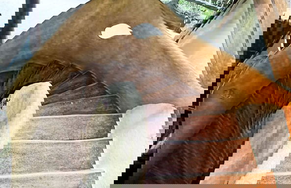 Casa Vida Verde - Foto 15