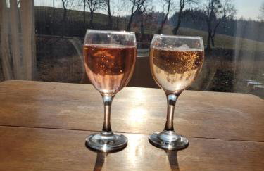 Dzika Warmia- Retreat in the Wild - Foto 23