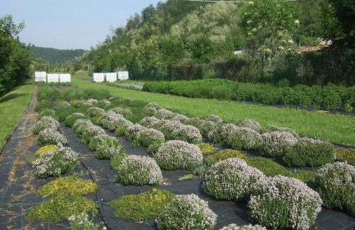 Agriturismo Cascina Rossano - Foto 73