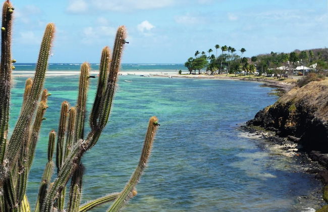 Le Village de la Pointe - Photo 43