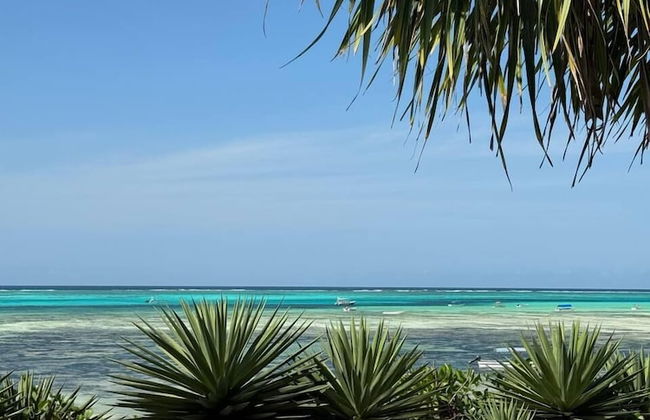 Bitcoin Beach Hotel Zanzibar - Photo 29