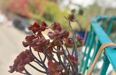 Casa MEDUSA - Foto 31