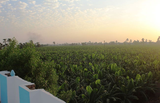 Adam Apartments - Foto 57