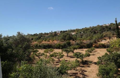 JB - Monte João Moleiro With Shared Pull - Photo 75