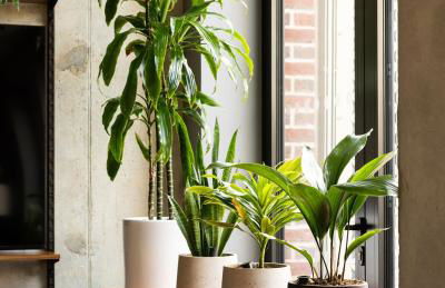 The Gate London City - Foto 120