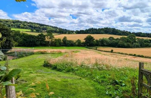 The Warm Hearth 18th Century, 15 acre Countryside Estate - Foto 65