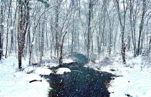 renovatedhot tublake accesspedal boatcozychic - Foto 34