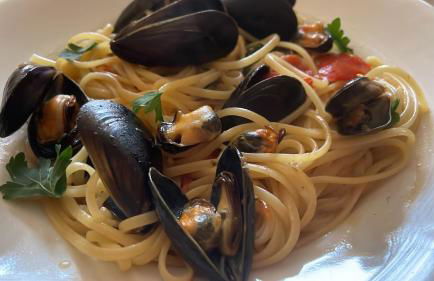 b&b Stella marina torre guaceto - Foto 25