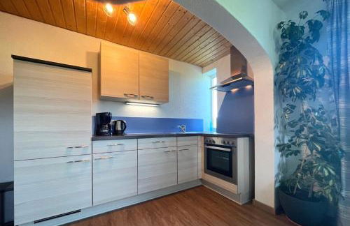 Ferienwohnungen Fricker - Photo 29