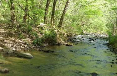 Gîte en bord d'étang et de rivière - Foto 14