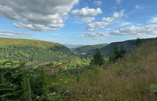 Bronfelin & Troed-y-rhiw Holiday Cottages - Foto 36