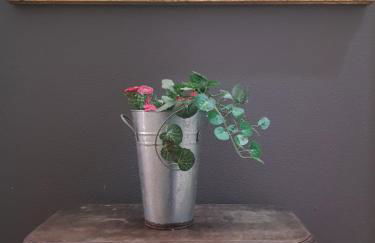 Flat Casa Grande - Foto 1