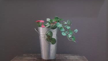 Flat Casa Grande - Foto 1