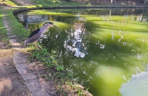 Chalé Lumiar M&C - Foto 28