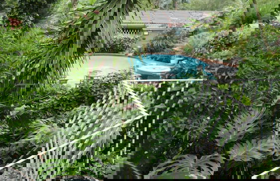 Margaret's Place - Foto 53