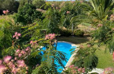 Higueras y Olivos - Foto 19