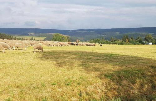 Wellness Home with Garden - Foto 39