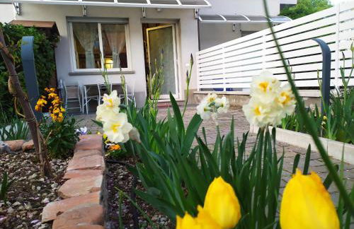 BHH Appartamento Signorini Bologna -wwwbolognaholidayhomecom- Parcheggio Riservato e Giardino - Holiday House Bologna Garden Parking - Foto 38