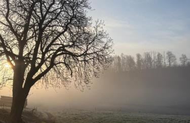 Haus Bergverliebt - Foto 2