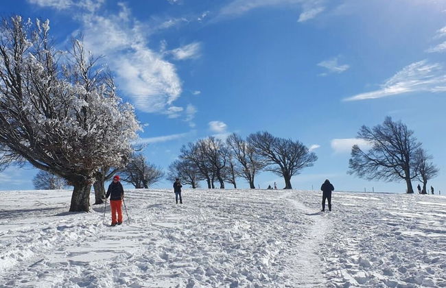 Landhuis Appartement Feldberg Uitzicht - Foto 18