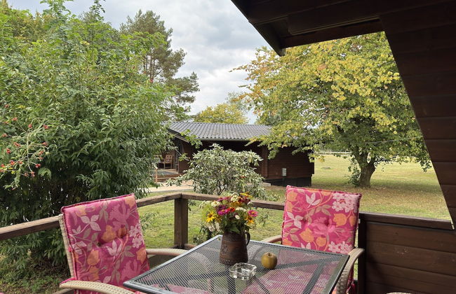 Apartment in Eschede, Luneburg - Photo 9