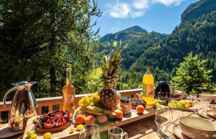 Chalet Les Sources De La Davie - Chalet LES SOURCES de la DAVIE services hôteliers MAE-8981 - Foto 28