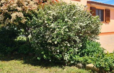 Montepulciano - La Casetta del Pian delle Noci - Foto 1