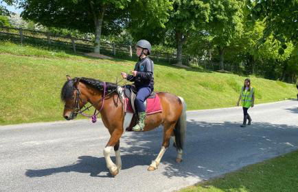Lodge Nine for 6 with Hot Tub - Spa Resort in Devon - Foto 51