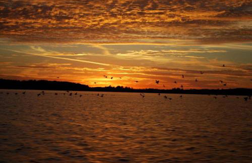 Waterfront Cabin with Amazing Sleeping Loft on Pelican Lake, Minnesota - Foto 8