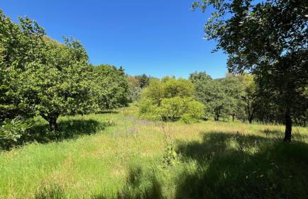 Quinta da Mata de Baixo - Foto 21