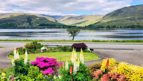 Hillview Guest House - Foto 5