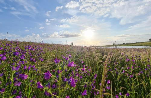 Monte do Arneiro - Foto 59