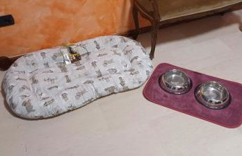 Retica Tirano - Foto 29