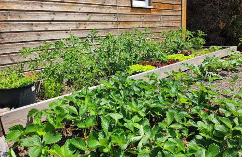 Le clos de lignac - Foto 22