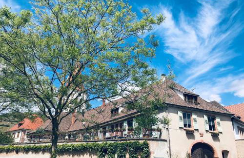 AUX DEUX CIGOGNES AMMERSCHWIHR - Foto 51