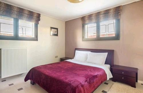 Ταξιδιώτες Travellers - Foto 9