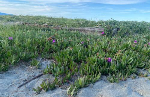 Casa Sole e Mare - Foto 3