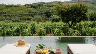 IMAGO Houses - Douro Valley - By MET - Photo 4