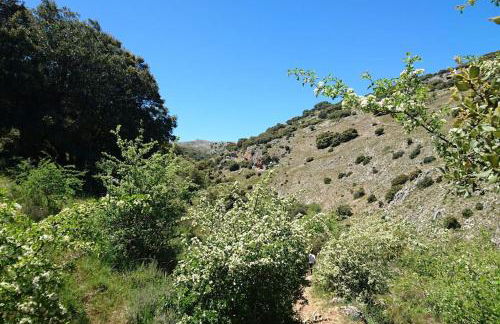 Amapola Alojamiento Rural - Foto 37