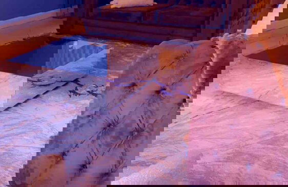 Or Tambo Airport Holiday Home - Photo 12