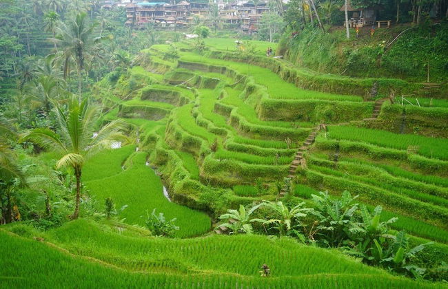 Hillside Eden Bali - Photo 51