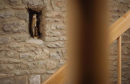 Ferienwohnungen Maijeschhof - Foto 25