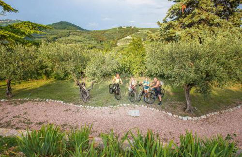 Agriturismo Casa Zen - Foto 36