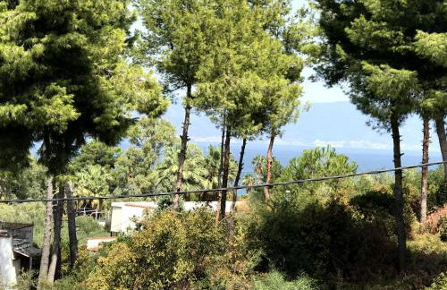 Studio Kalypso - Foto 4