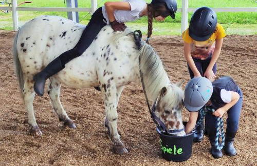 Erdhaus WEST - Ferienhof Bartel - Foto 38