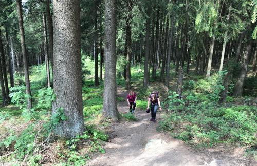 Am Wäldchen - Foto 25