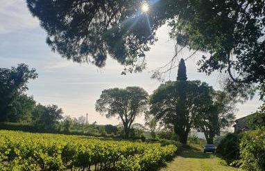 Mas des Pelissiers Gîte - Foto 18