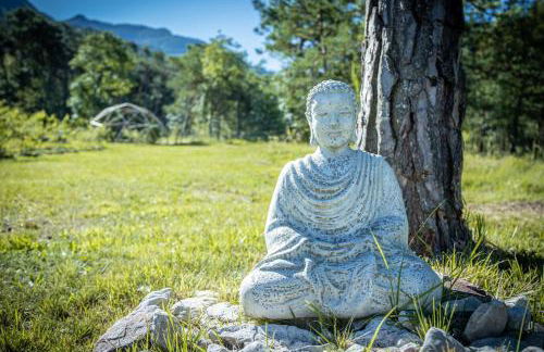 Bosc del Meneghì - Foto 34