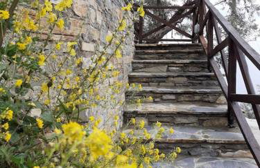 LIMNIONAS SUNVIEW - Foto 31